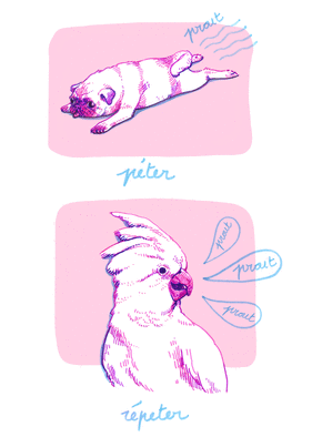 Carte humour Un perroquet qui répète